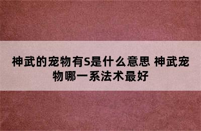 神武的宠物有S是什么意思 神武宠物哪一系法术最好